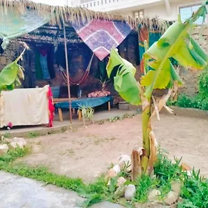 Ocean Jam Surf House Guest house